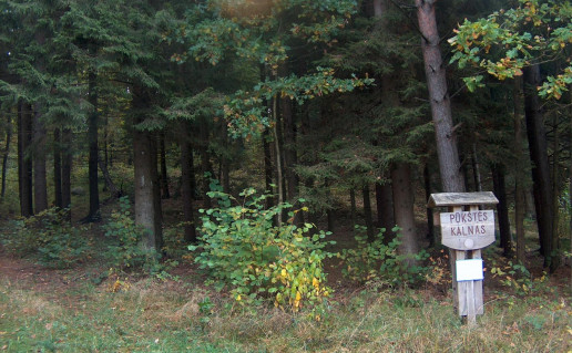 9_Pukstes kalnas.S.Kvasinsko n..jpg